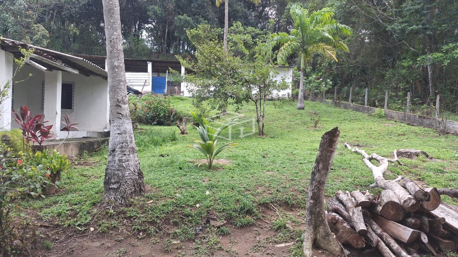 Sítio, 3 quartos, 5000 m² - Foto 5