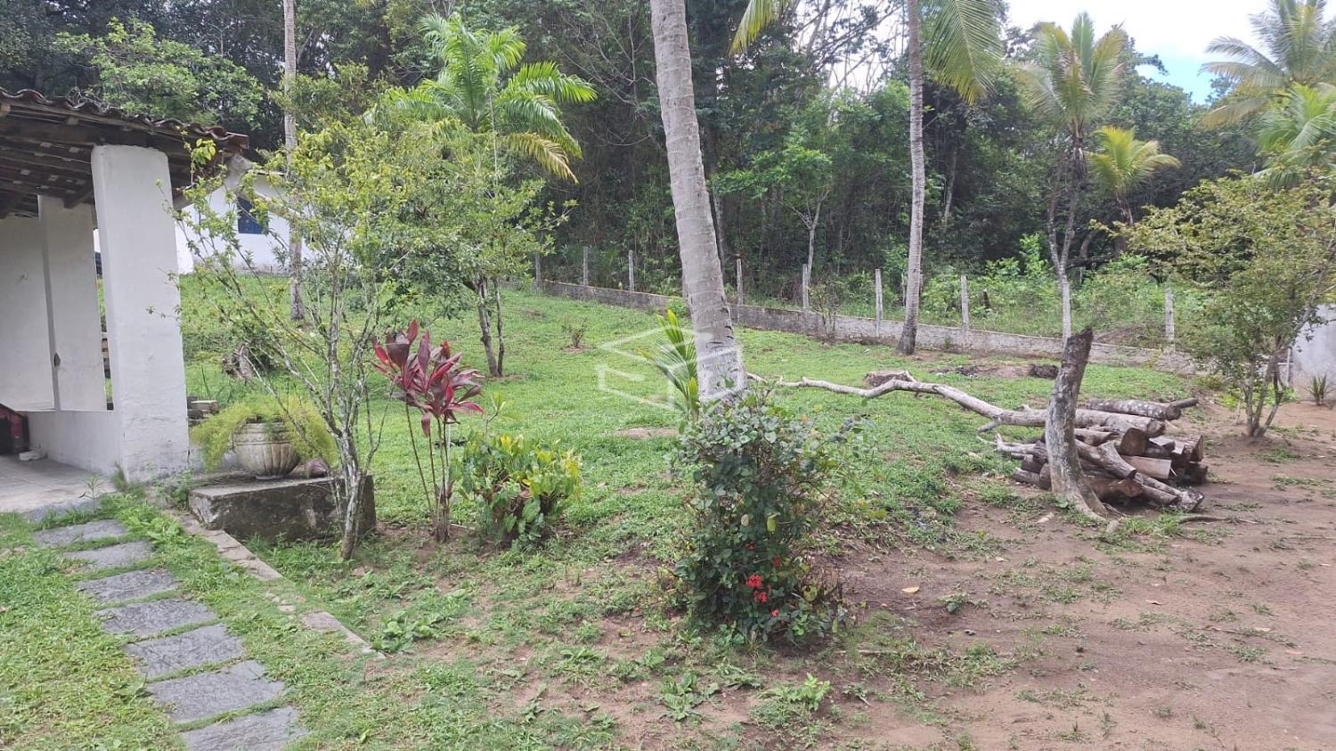 Sítio, 3 quartos, 5000 m² - Foto 6