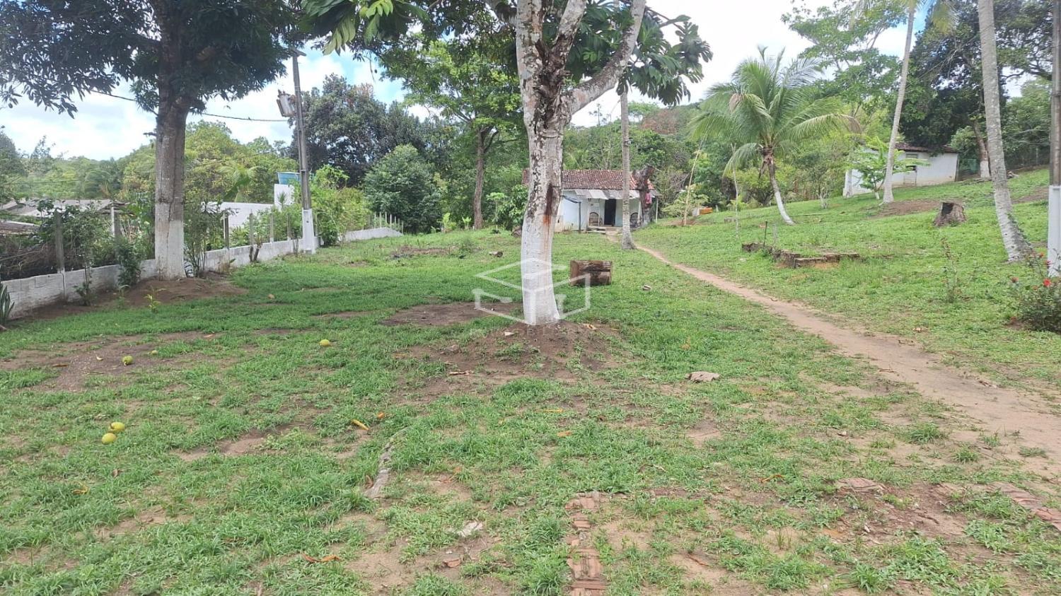 Sítio, 3 quartos, 5000 m² - Foto 8