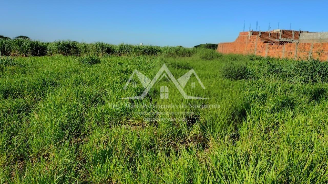 Terreno, 360 m² - Foto 2