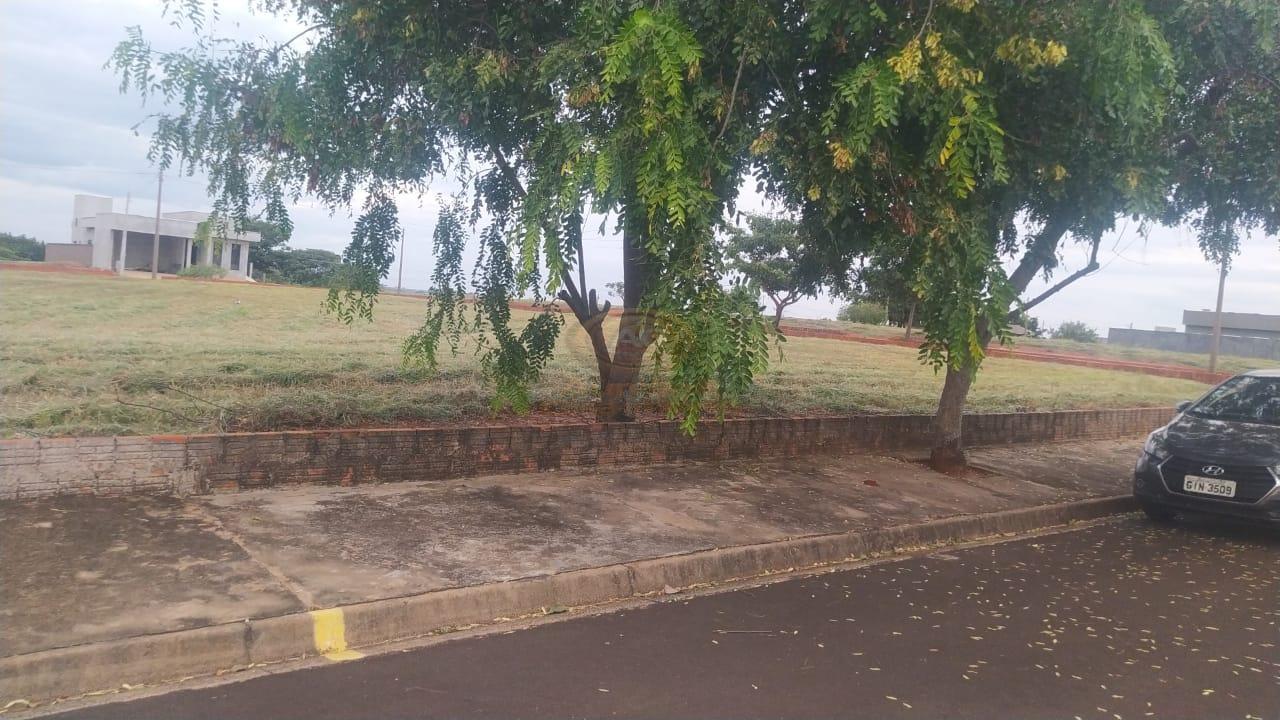 Terreno, 450 m² - Foto 4