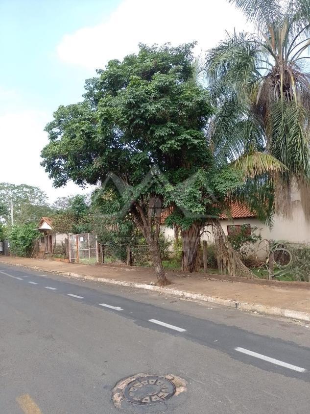 Chácara, 4 quartos, 5030 m² - Foto 9