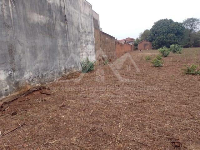 Chácara, 4 quartos, 5030 m² - Foto 4