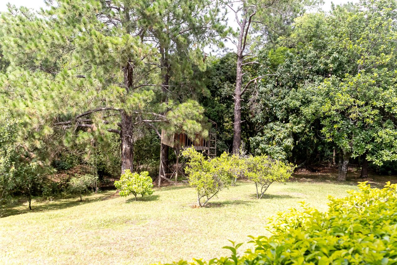 Chácara, 4 quartos, 2 hectares - Foto 15