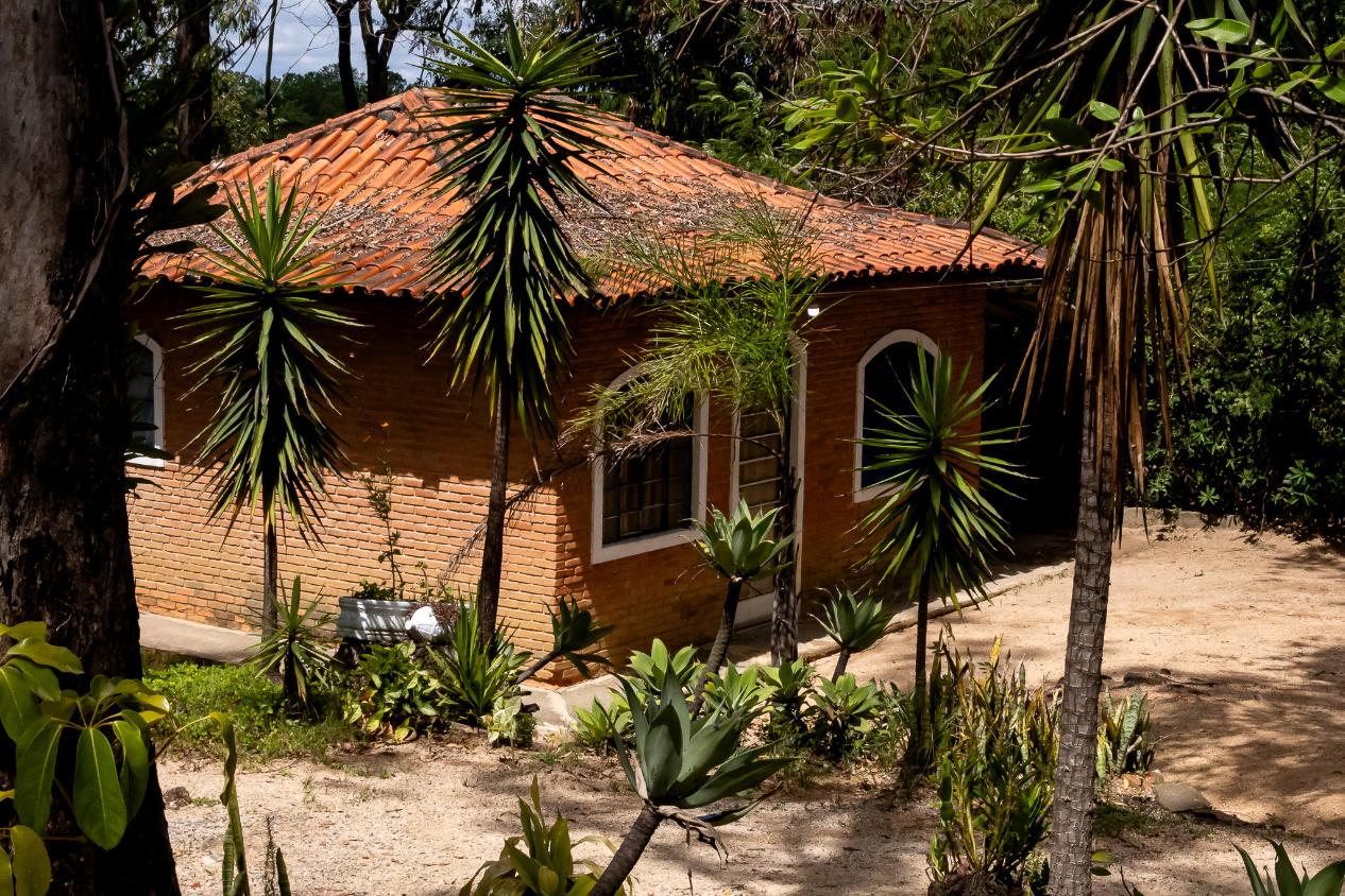 Chácara, 4 quartos, 2 hectares - Foto 30