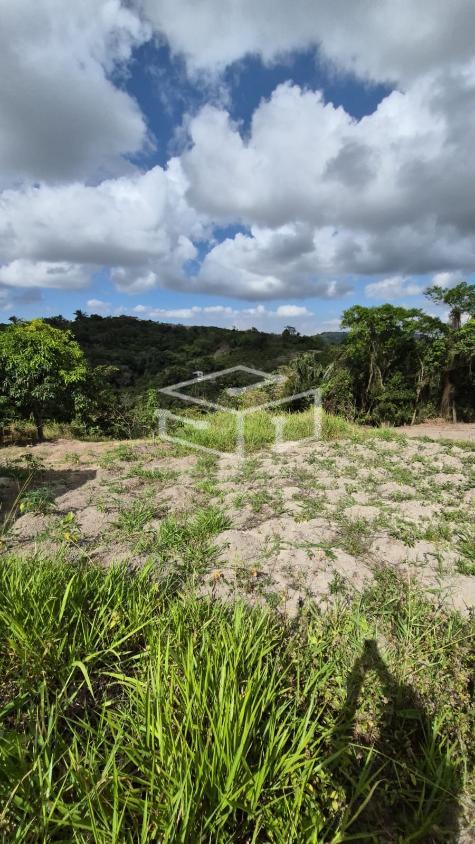 Terreno, 5200 m² - Foto 14