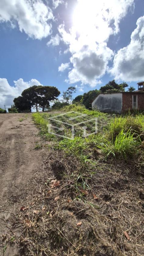 Terreno, 5200 m² - Foto 6