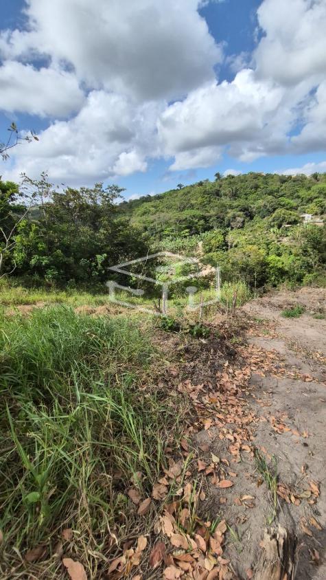 Terreno, 5200 m² - Foto 17