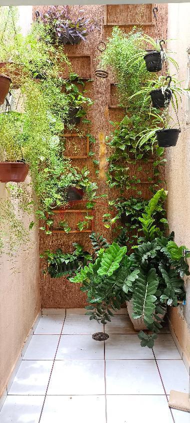 Casa a venda Jaguare 2 dormitórios (1 suíte) - S.J. Rio Preto - SP
