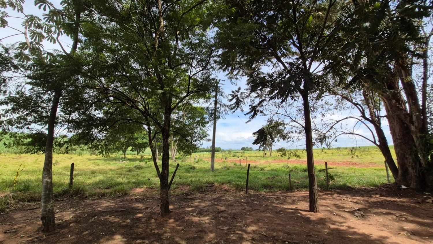 Chácara, 2 quartos - Foto 5