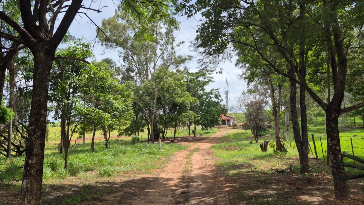 Chácara, 2 quartos - Foto 7