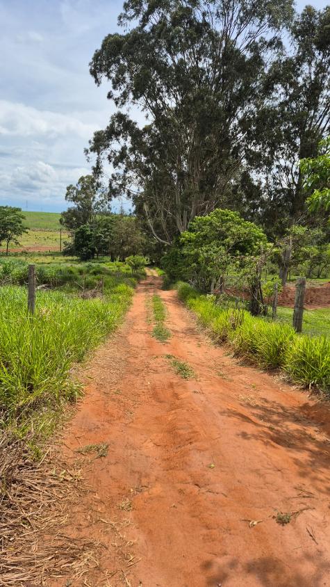 Chácara, 2 quartos - Foto 8