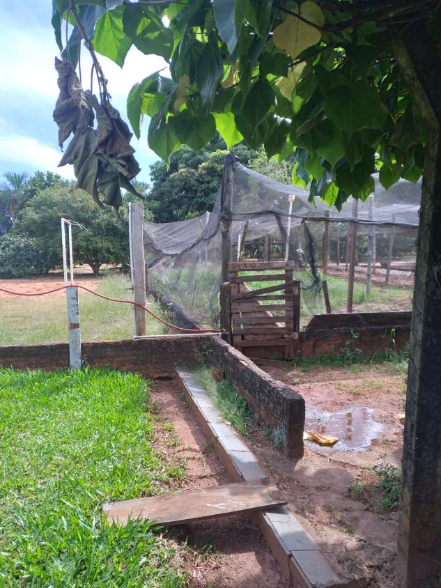 Sítio, 4 quartos, 2 hectares - Foto 2