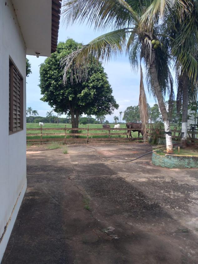 Sítio, 4 quartos, 2 hectares - Foto 8