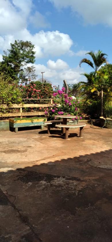 Sítio, 4 quartos, 2 hectares - Foto 18