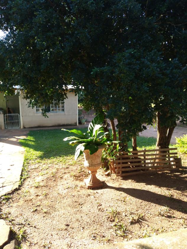 Sítio, 4 quartos, 2 hectares - Foto 20