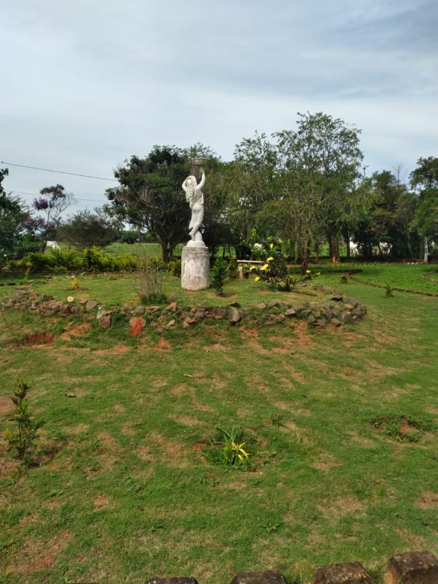 Sítio, 4 quartos, 2 hectares - Foto 21