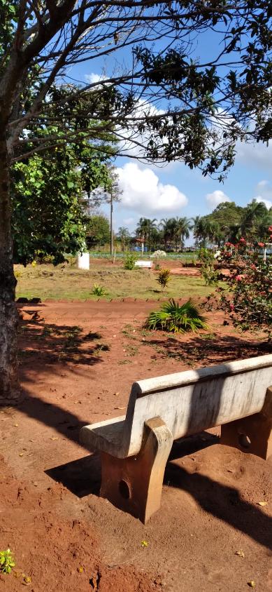 Sítio, 4 quartos, 2 hectares - Foto 23