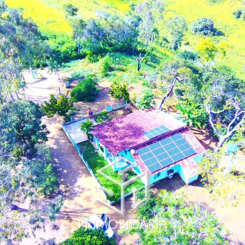 Sítio, 4 quartos, 2 hectares - Foto 13