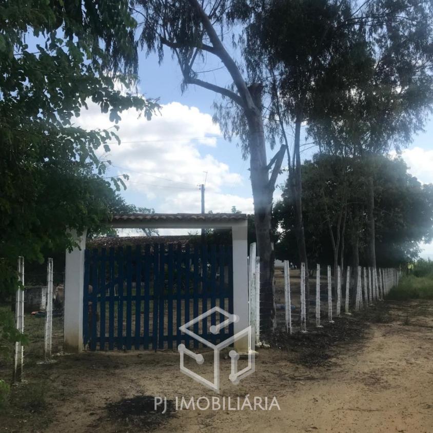 Sítio, 4 quartos, 2 hectares - Foto 14