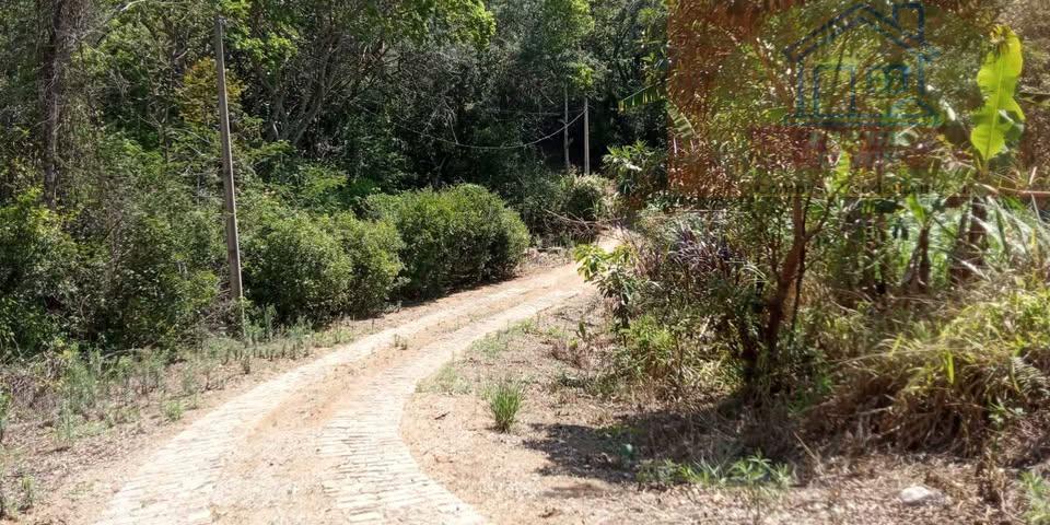 Sítio, 7 hectares - Foto 2