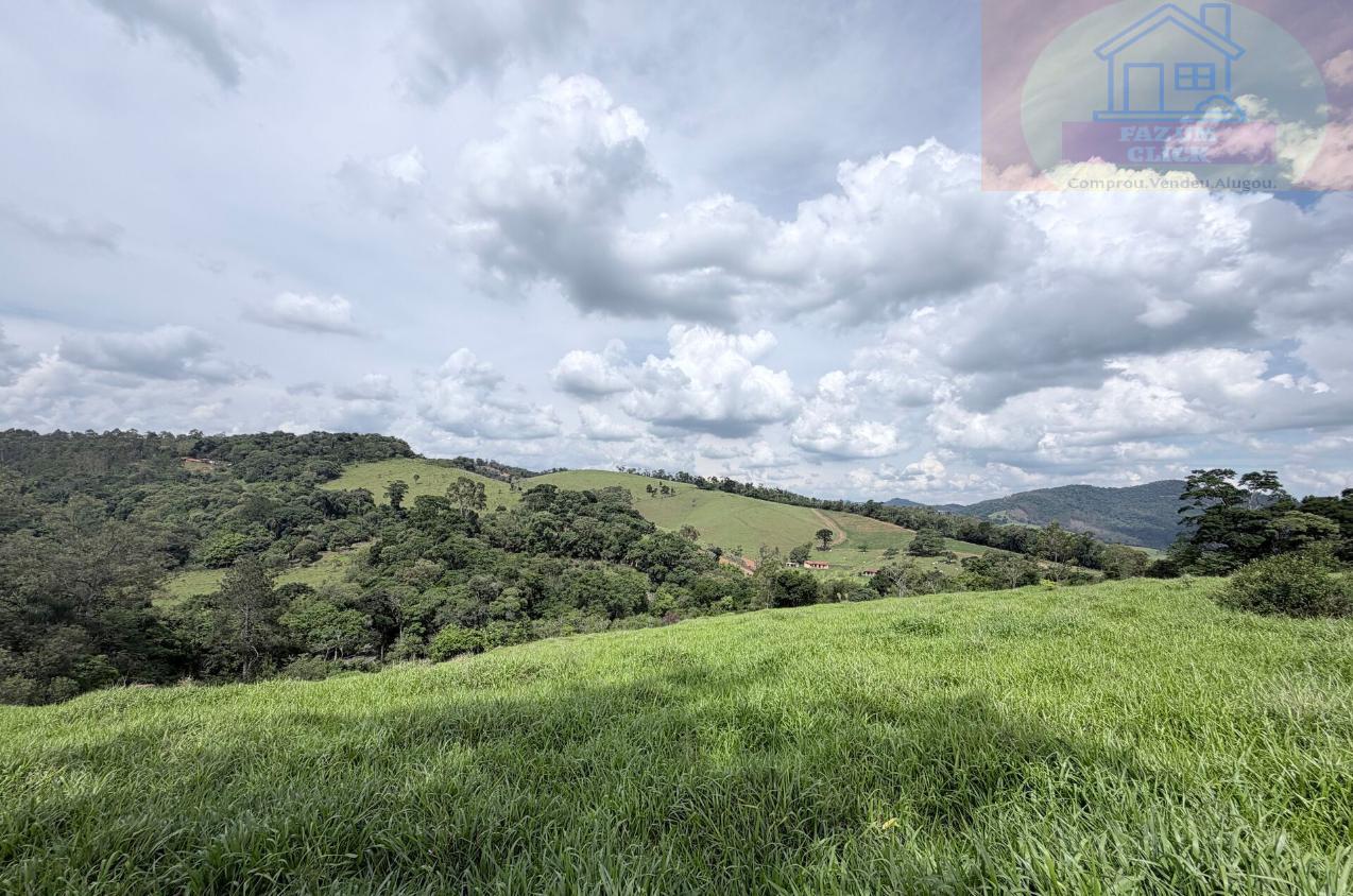 Sítio, 7 hectares - Foto 5