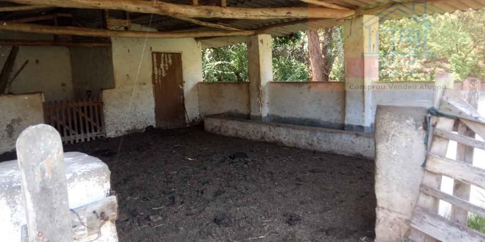 Sítio, 7 hectares - Foto 7