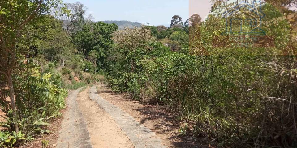 Sítio, 7 hectares - Foto 10