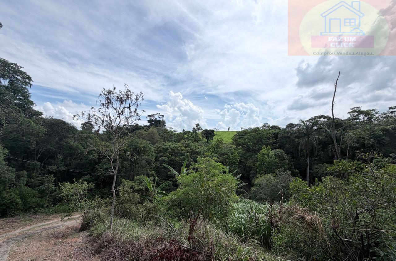 Sítio, 7 hectares - Foto 6