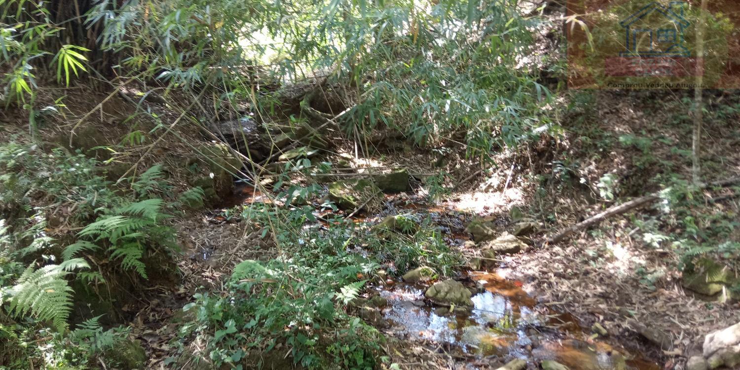 Sítio, 7 hectares - Foto 9