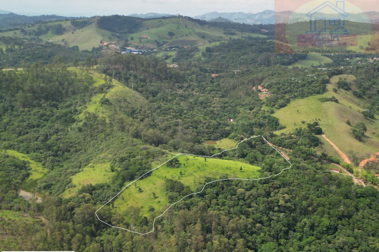 Sítio, 7 hectares - Foto 4