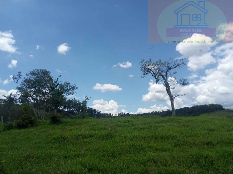 Sítio, 7 hectares - Foto 13