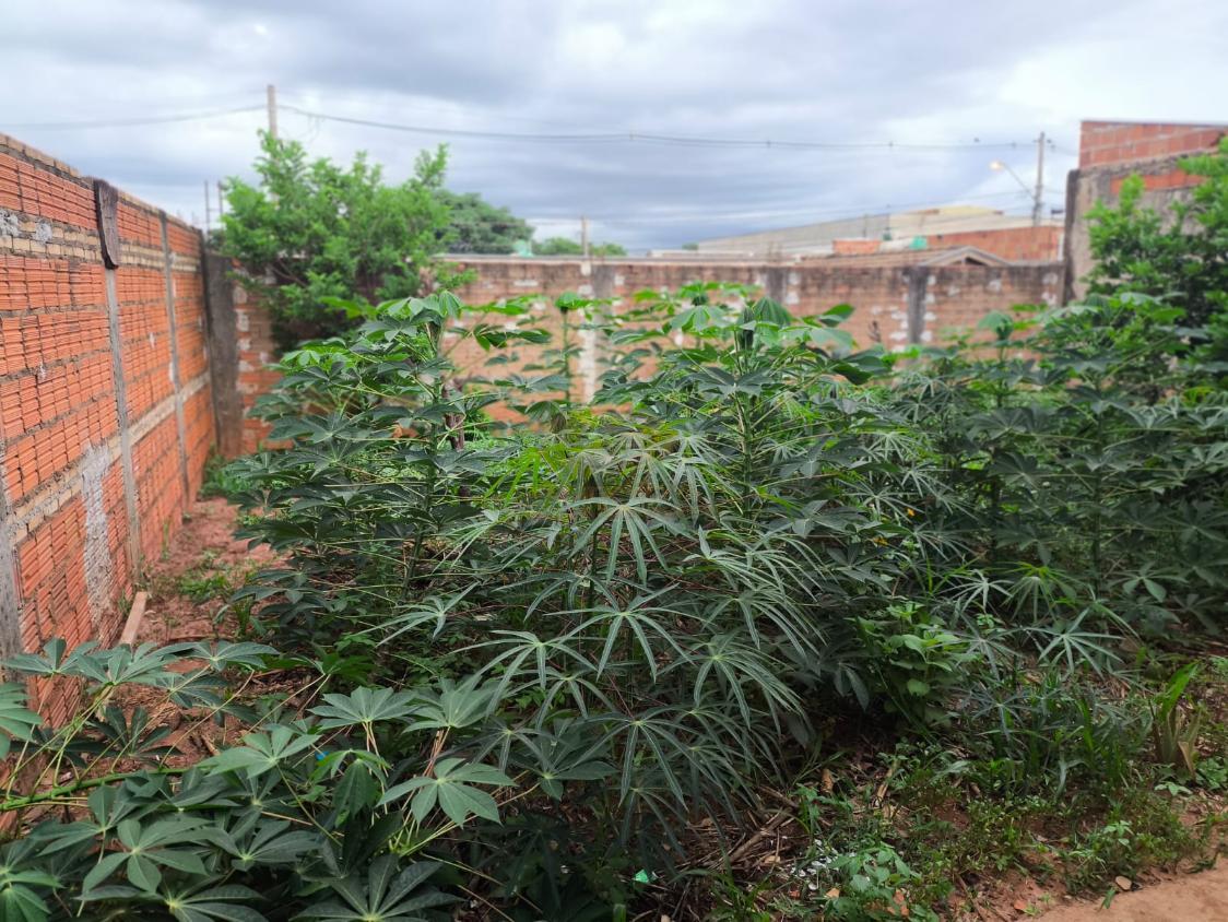 Casa, 2 quartos - Foto 15