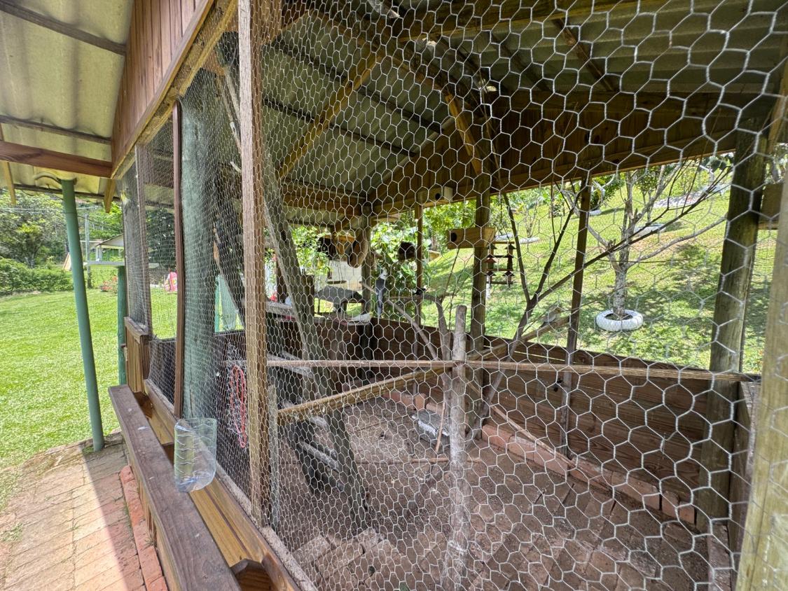 Chácara, 2 quartos, 3980 m² - Foto 16