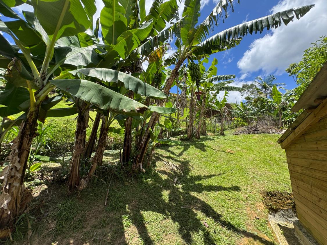 Chácara, 2 quartos, 3980 m² - Foto 20