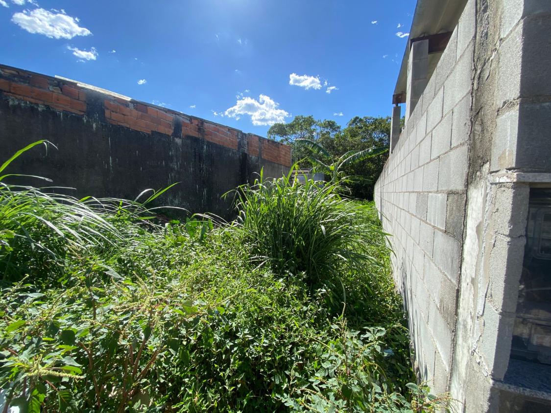 Foto - Bertioga - Jardim Vicente de Carvalho