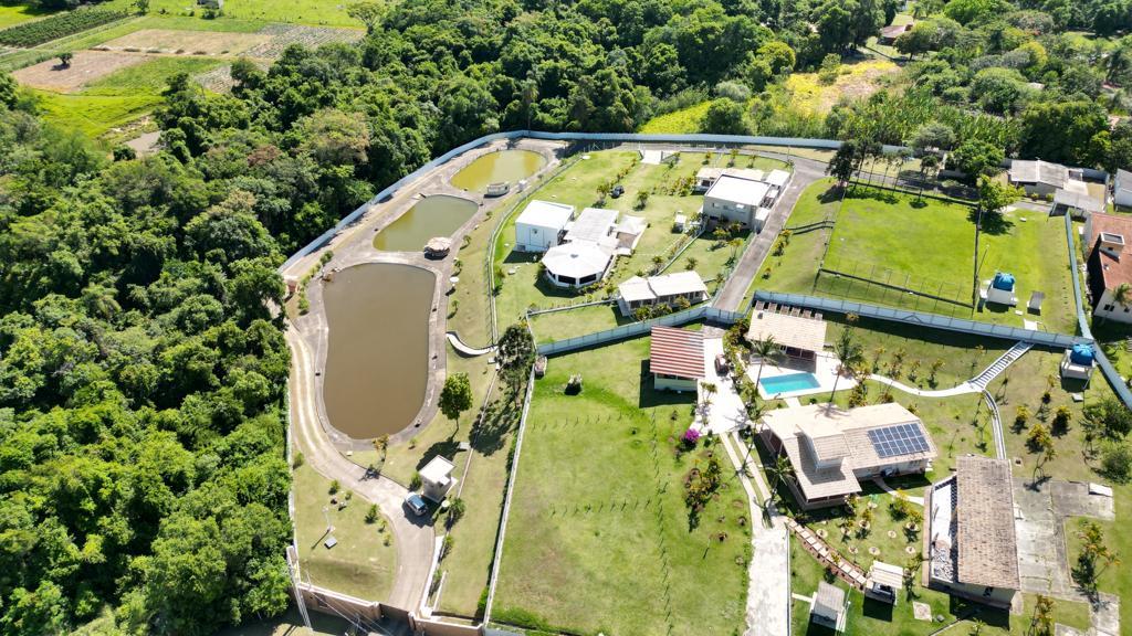 Chácara, 2 quartos, 2 hectares - Foto 2