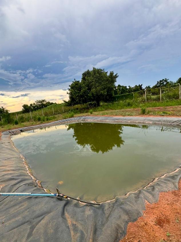 Sítio, 3 quartos, 2 hectares - Foto 29