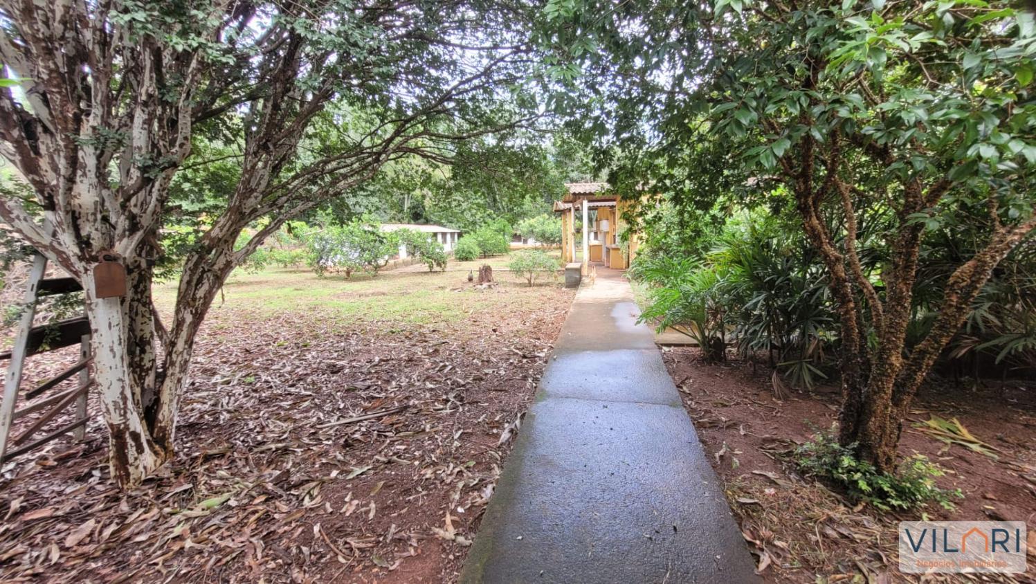 Chácara, 4 quartos, 5000 m² - Foto 6