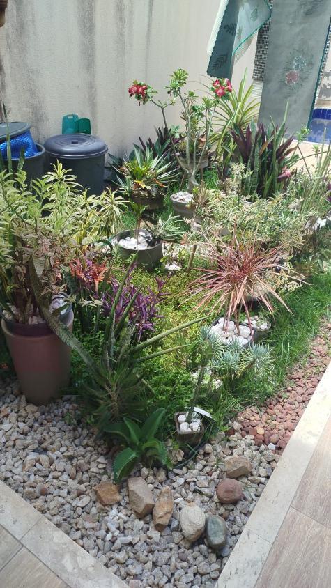 Casa, 3 quartos, 150 m² - Foto 24