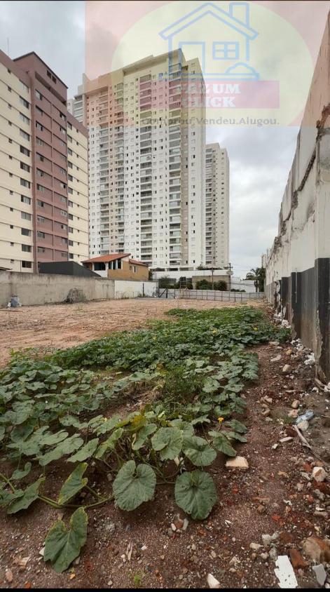 Terreno, 1157 m² - Foto 3