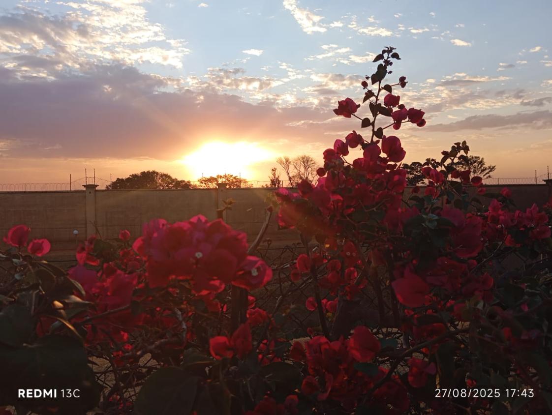 Terreno, 360 m² - Foto 8