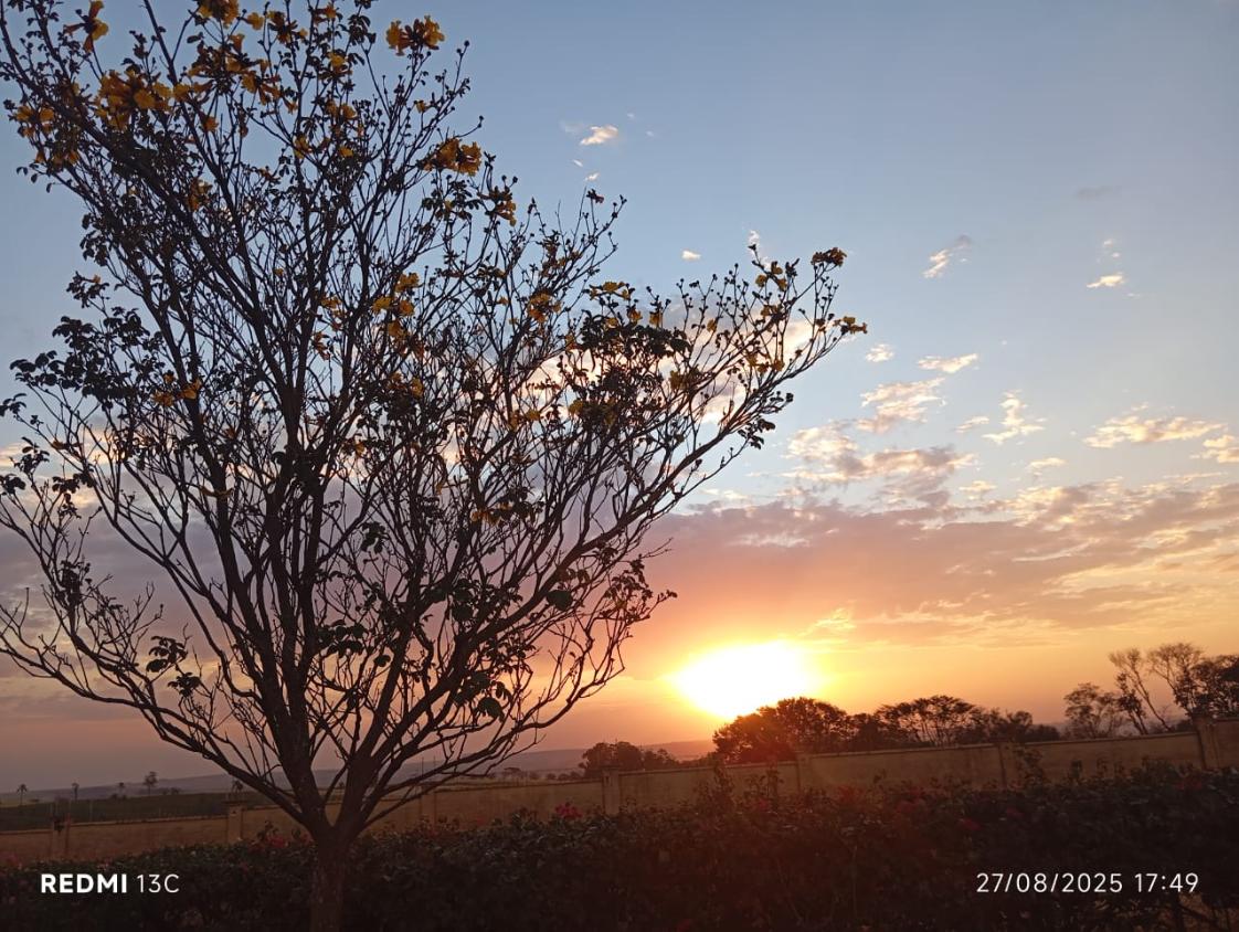 Terreno, 360 m² - Foto 9