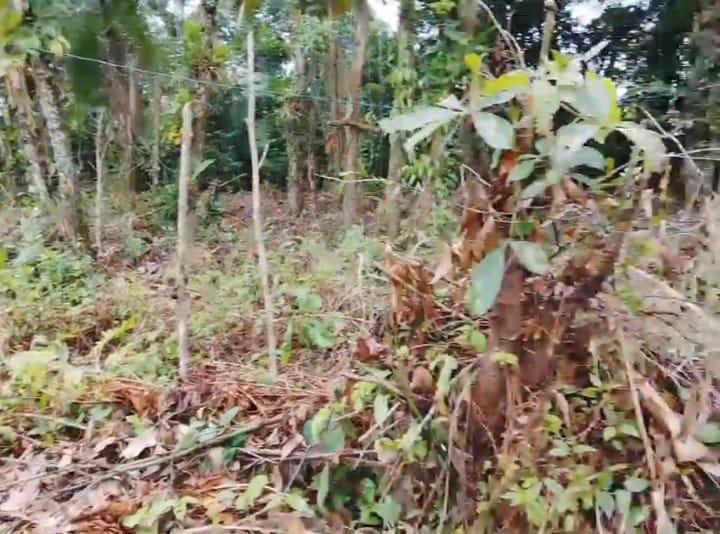 Foto - Bertioga - Bairro Chácaras