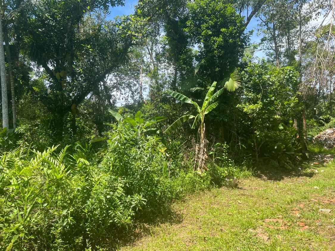 Foto - Bertioga - Centro