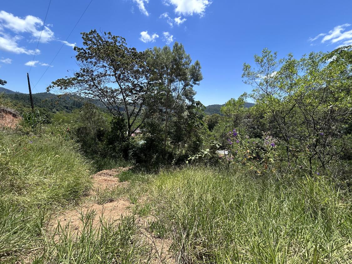 Sítio, 7 quartos, 2 hectares - Foto 45