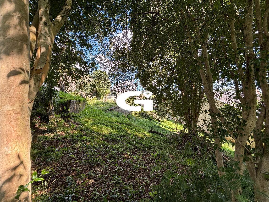 Terreno, 720 m² - Foto 14