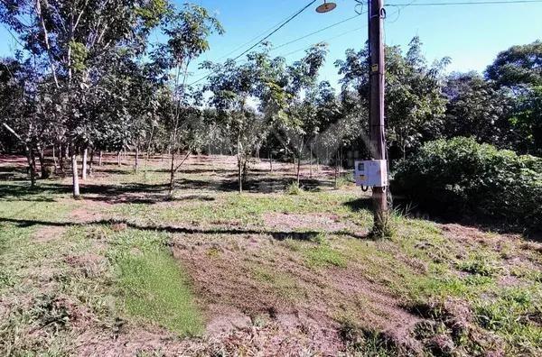 Sítio, 3 hectares - Foto 5