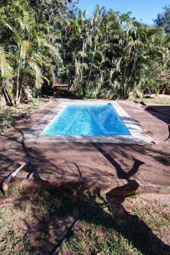 Sítio, 3 hectares - Foto 3