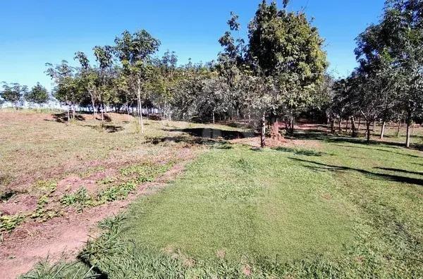 Sítio, 3 hectares - Foto 4
